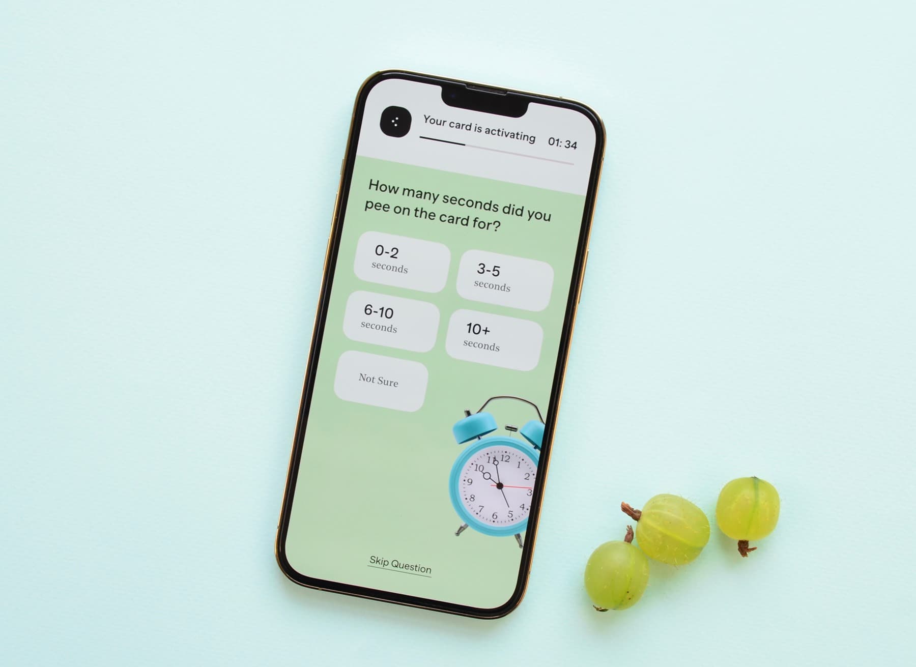 Vessel app test activation screen with an alarm clock and gooseberries